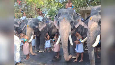 ഗുരുവായൂർ ആനയോട്ടത്തിൽ ഗോപീ കണ്ണൻ ജേതാവ്; ഉത്സവത്തിന് കൊടിയേറുന്നു