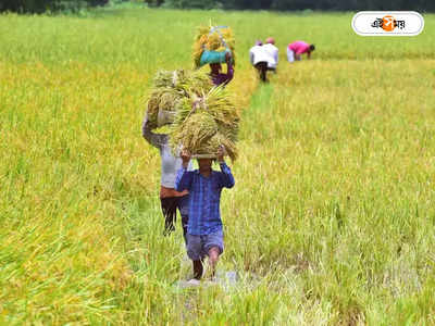 PM Kisan : পিএম কিষানের টাকা নিয়ে বড় আপডেট কেন্দ্রের, জেনে নিন প্রকল্পের খুঁটিনাটি