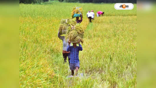 PM Kisan : পিএম কিষানের টাকা নিয়ে বড় আপডেট কেন্দ্রের, জেনে নিন প্রকল্পের খুঁটিনাটি