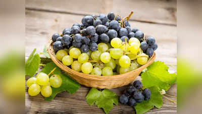 Grapes Price Drop :  ಸತತವಾಗಿ ಕುಸಿಯುತ್ತಿರುವ ದ್ರಾಕ್ಷಿ ದರ, ರೈತರಿಗೆ ಗಾಯದ ಮೇಲೆ ಬರೆ
