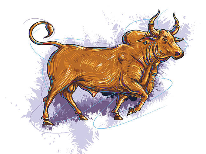 Taurus