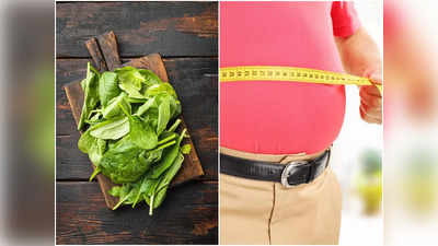 Spinach For Weight Loss: ঝটপট কমাতে চান ওজন? তাহলে আজই এই গুণী পাতার শরণাপন্ন হন!