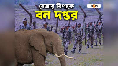 Elephant Attack: বাংলাদেশ সীমান্তে হাতি, ফেরাতে মরিয়া বনদপ্তর