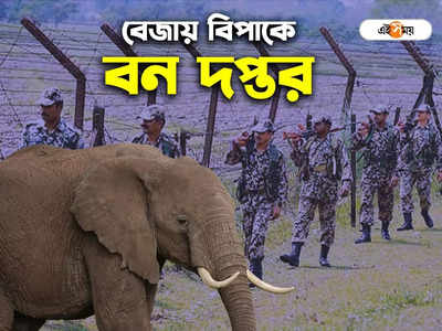 Elephant Attack: বাংলাদেশ সীমান্তে হাতি, ফেরাতে মরিয়া বনদপ্তর