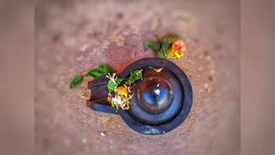 Maha Shivratri 2024: মহাশিবরাত্রিতে ভুলেও শিবলিঙ্গে এই ৩ বস্তু নিবেদন করবেন না, জেনে নিন বিশদে