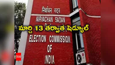 Lok Sabha Elections: మార్చి 13 తర్వాత లోక్‌సభ ఎన్నికల షెడ్యూల్.. ఈసారి ఎన్నికల కోసం ఆర్టిఫిషియల్ ఇంటెలిజెన్స్!