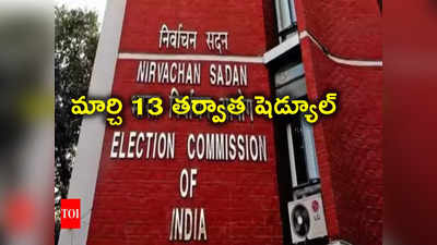 Lok Sabha Elections: మార్చి 13 తర్వాత లోక్‌సభ ఎన్నికల షెడ్యూల్.. ఈసారి ఎన్నికల కోసం ఆర్టిఫిషియల్ ఇంటెలిజెన్స్! 