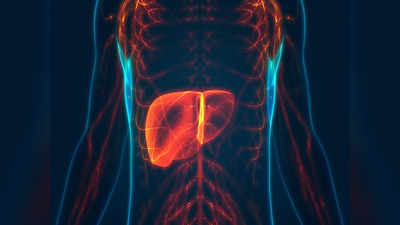 Fatty Liver Disease: প্রতি ৩ জনে একজনের ফ্যাটি লিভার, বিপদ বাড়ার আগে এই কাজ করলেই মিলবে সমস্যার সমাধান