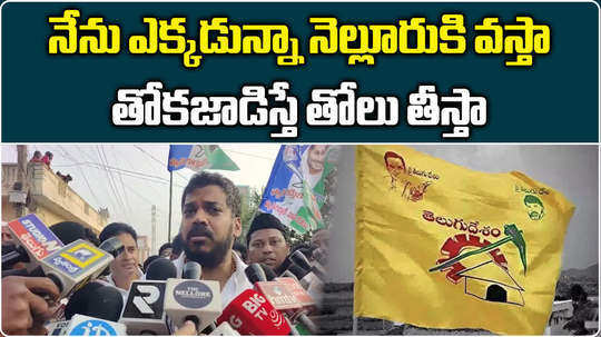 ex minister anil kumar yadav fires on tdp leaders