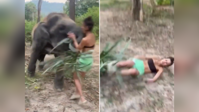 Elephant Viral Video: हाथी के पास जाकर वीडियो बनवा रही थी महिला, गजराज ने पटकने में 2 सेकंड नहीं लगाए, वीडियो वायरल