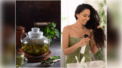 Green Tea Hair Spray: মাত্র ৩ দিনে রুক্ষ চুলের জেল্লা ফেরাবে গ্রিন টি, ব্যবহারের বিশেষ নিয়মটি জানেন কি?