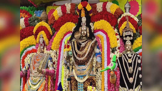 மரக்காணம் அருகே கூனி மேடு கடற்கரையில் தீர்த்தவாரி விழா!