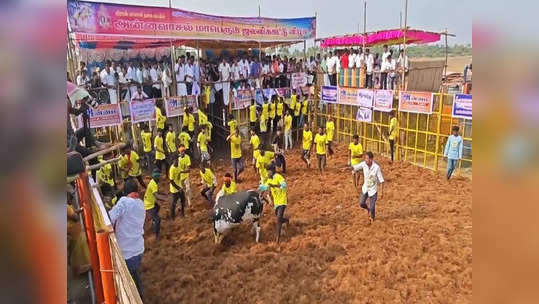 விருத்தபுரீஸ்வரர் கோவில் திருவிழா: அன்னவாசலில்  ஜல்லிக்கட்டு போட்டி!