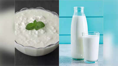 Curd vs Milk Benefits: রোজ দই খাবেন নাকি দুধ? উত্তর জেনে সুস্থ থাকার পথ প্রশস্ত করুন