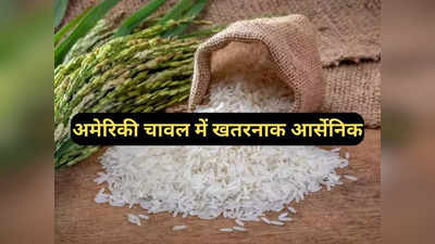 भारत ने सप्लाई क्या रोकी, दुनिया को आर्सेनिक वाला चावल खिला रहा अमेरिका, शोध में खुलासा