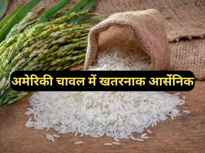 भारत ने सप्लाई क्या रोकी, दुनिया को आर्सेनिक वाला चावल खिला रहा अमेरिका, शोध में खुलासा