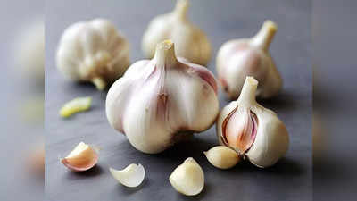 Garlic Price: लहसुन की कीमतों में आई गिरावट, थोक मंडी में 150 रुपये तक कम हुए भाव, अब इतने हुए दाम