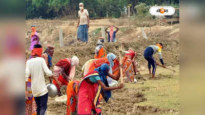 MGNREGA West Bengal : ১০০ দিনের কাজের টাকা ফেরতে খরচ ৩৭০০ কোটি, প্রাপকের সংখ্যা বেড়ে ৫০ লাখ