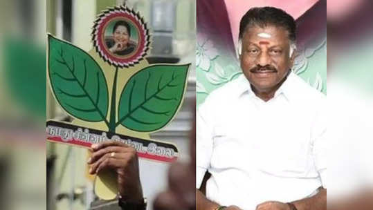 இரட்டை இலை சின்னத்தில்தான் போட்டி.. எப்படி தெரியுமா? - ஓபிஎஸ் சொன்ன விளக்கம்!