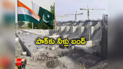 Pakistan: పాకిస్థాన్‌కు గట్టి షాక్ ఇచ్చిన భారత్.. రావి నది నీటిని పూర్తిగా బంద్ చేసిన కేంద్రం 