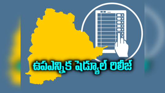 MLC By Election: ఎంపీ ఎలక్షన్స్ ముందే తెలంగాణలో ఉపఎన్నిక.. షెడ్యూల్ విడుదల 