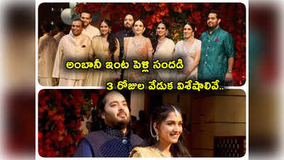 Anant Ambani Pre Wedding: అనంత్ అంబానీ- రాధికా ప్రీవెడ్డింగ్.. స్పెషల్ ఫ్లైట్స్, డ్రెస్ కోడ్ సహా విశేషాలెన్నో..