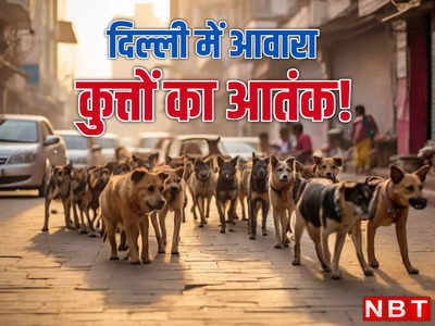 दिल्ली में 6 साल में 8 हजार लोग बन चुके हैं आवारा कुत्तों का शिकार, डरा रहे हैं ये आंकड़े