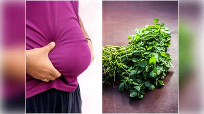 Fenugreek Leaves Benefits: মাস খানেকের মধ্যে ওজন ঝরাতে রোজ পাতে থাকুক এই শাক, তাতেই অচিরে কমবে ভুঁড়ির ভার!