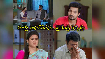 Guppedantha Manasu: ఫణీంద్ర కన్నీటి పర్యంతం.. నిజాన్ని బయటపెట్టేస్తున్న ధరణి 