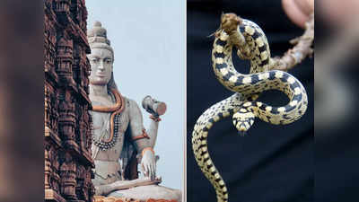 Mahashivratri 2024: মহাশিবরাত্রির আগে সাপের স্বপ্ন দারুণ শুভ, যে দেখে তার ভাগ্য খুলে যায়