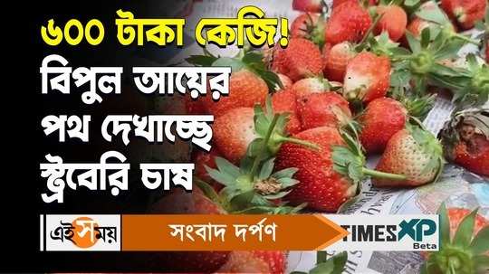strawberry farming kaliaganj resident bhadra roy makes profit for details watch bengali video