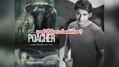 Poacher: అలా ఎలా చేస్తారు?.. ఆ వెబ్ సిరీస్‌పై మహేశ్ బాబు ఇంట్రెస్టింగ్ పోస్ట్