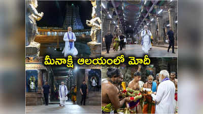 PM Modi: తమిళనాడు మధురై మీనాక్షి ఆలయంలో ప్రధాని మోదీ పూజలు 