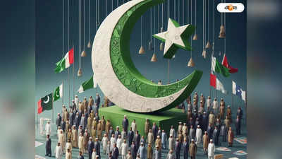 Pakistan Election: জোট তো হলো, কবে সরকার?