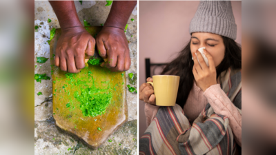 Cold Cough Treatment: सर्दी-खांसी, जुकाम और गले की खराश, सबका एकसाथ नाश करेगा आयुर्वेद डॉ. का देसी नुस्खा