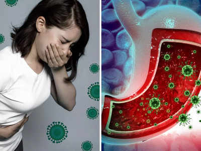 अमेरिका में तेजी से फैल रहा है पेट का कीड़ा, Norovirus क्या है? जिससे हर साल जाती है 2 लाख लोगों की जान