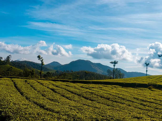  ಅರಕು ಕಣಿವೆ