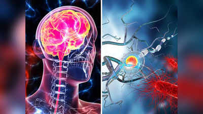 दिमाग को बीमार करने वाले इस रोग की अब खैर नहीं! Israel के वैज्ञानिकों ने तोड़ निकाल लिया है