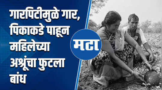 jalgaon women farmer kalingad unseasonal rain farm loss