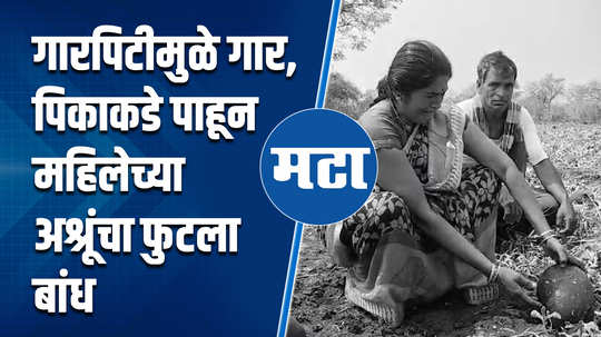 jalgaon women farmer kalingad unseasonal rain farm loss