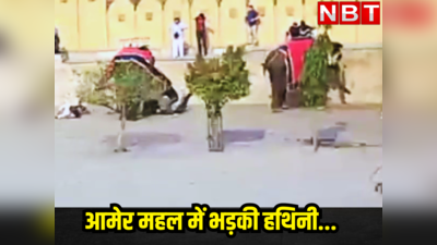 Elephant Attack: जयपुर के आमेर महल में भड़की हथिनी, रूसी पर्यटक को सूंड से उठाकर नीचे पटका , पैर हुआ फैक्चर
