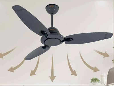 इन Ceiling Fan को लगाकर पाएं तेज हवा के साथ अट्रैक्‍टिव लुक, Amazon Sale में पाएं 57% की जबरदस्‍त छूट