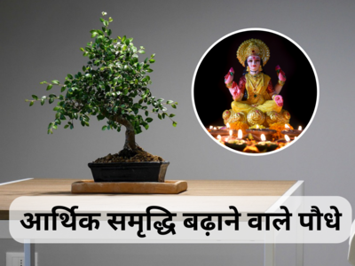 घर में इन 5 पौधों को लगाने से माता लक्ष्मी कभी नहीं होने देंगी धन की कमी, इनमें से भगवान शिव को यह पौधा है प्रिय