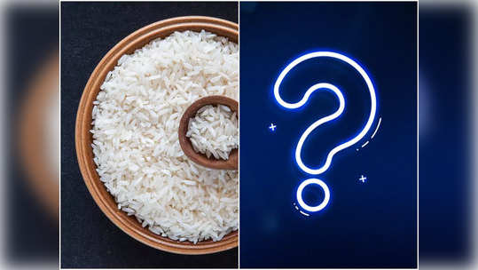 Warm Rice Vs Cold Rice: ঠান্ডা না গরম ভাত, কোনটা খেলে পাবেন বেশি উপকার? পুষ্টিবিদের পরামর্শ জানলেই সইতে হবে না রোগের মার!