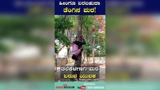 shirahatti youth climb coconut tree backwards spider man of gadag