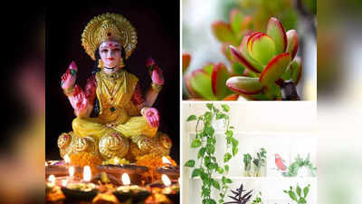 Vastu Tips For Plants: বাড়িতে এই ৫ গাছ লাগালে ঘরে বাঁধা পড়বেন লক্ষ্মী, রাতারাতি বাড়তে পারে ব্যাঙ্ক ব্যালেন্স!