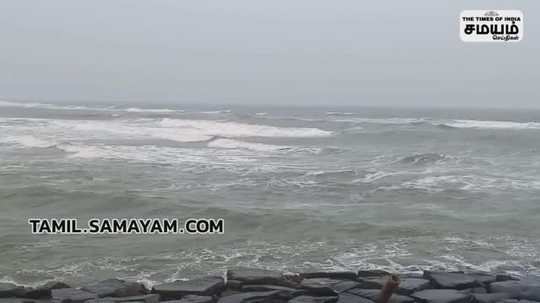 cattles disturbance in puducherry beach