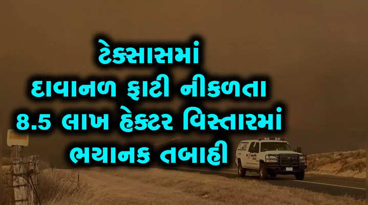 more than 8 lakh hacter area of texas affected by wildfire