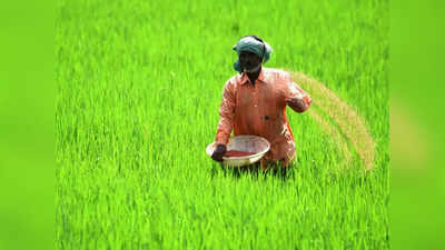 Fertilizer Subsidy - ರೈತರಿಗಿದು ಶುಭಸುದ್ಧಿ!: ರಸಗೊಬ್ಬರಕ್ಕೆ ಕೇಂದ್ರದಿಂದ ಬೃಹತ್‌ ರಿಯಾಯಿತಿ!