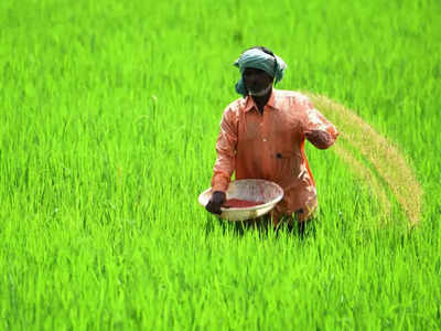 Fertilizer Subsidy - ರೈತರಿಗಿದು ಶುಭಸುದ್ಧಿ!: ರಸಗೊಬ್ಬರಕ್ಕೆ ಕೇಂದ್ರದಿಂದ ಬೃಹತ್‌ ರಿಯಾಯಿತಿ!